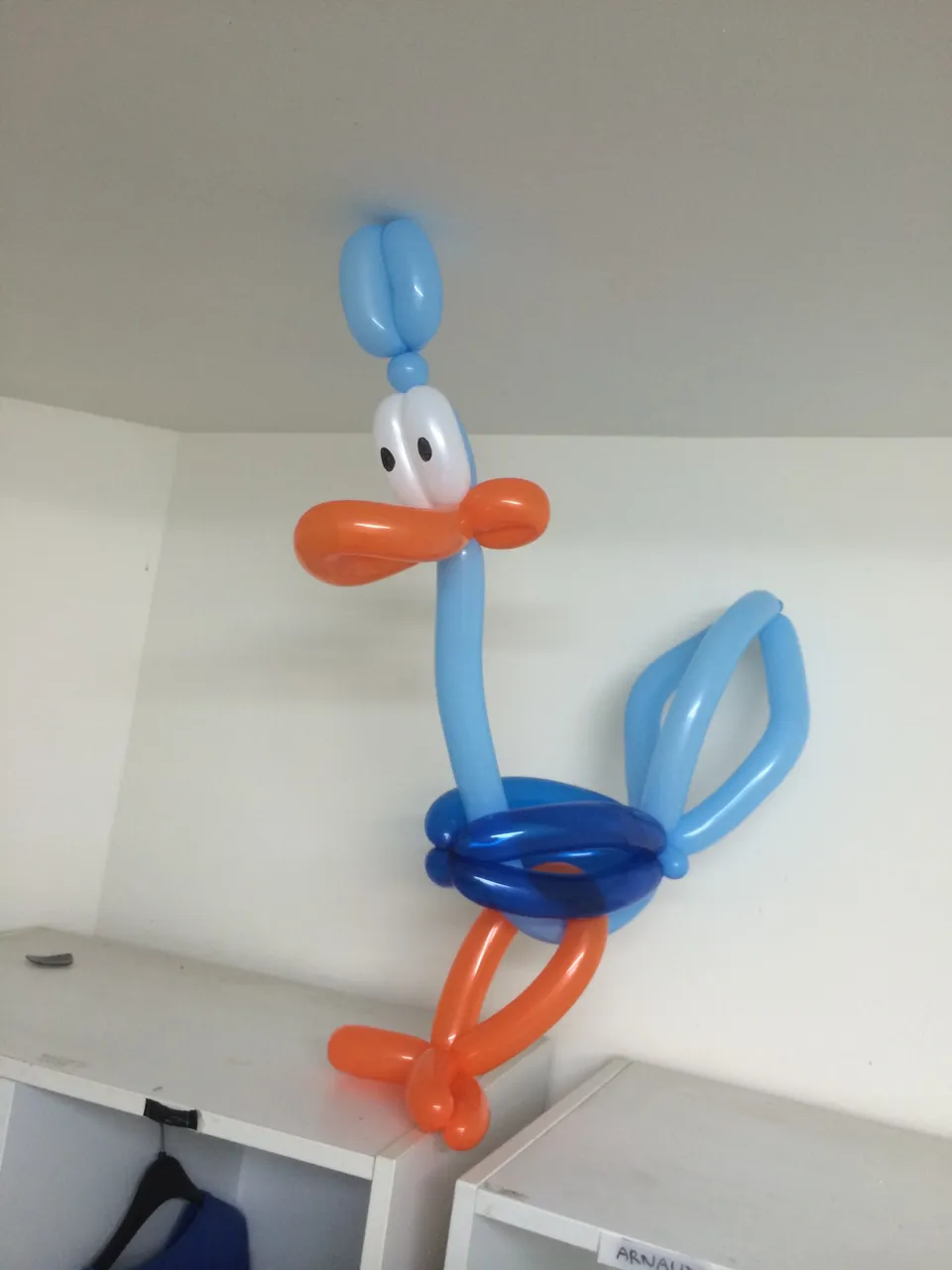 Oiseau en ballons bleus et oranges réalisé en sculpture sur ballons